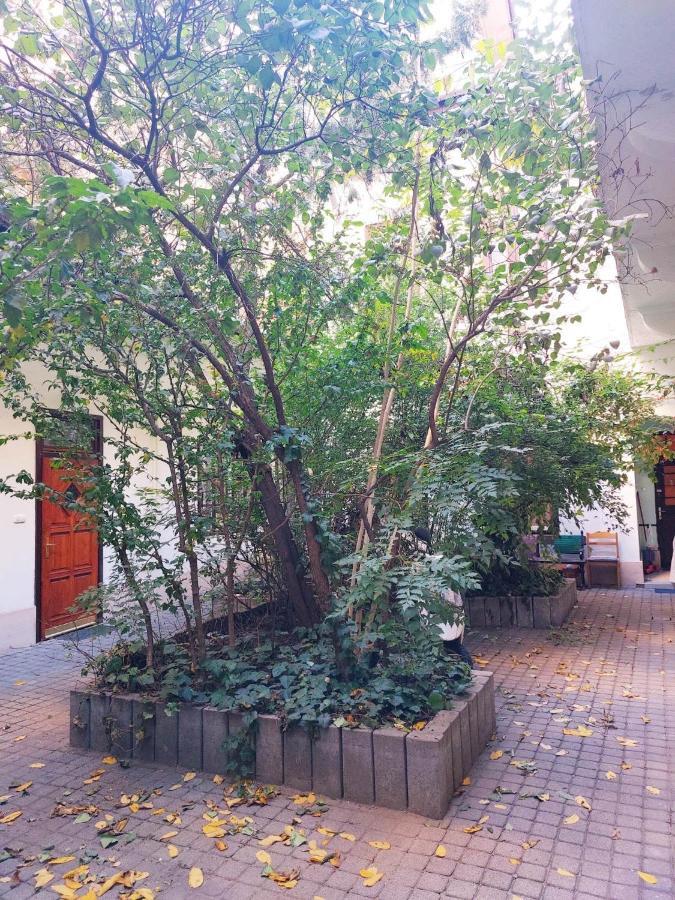 Happy Apartment In The Heart Of Budapest With 2 Rooms מראה חיצוני תמונה